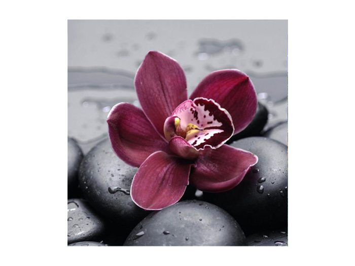 Diamantový obraz Orchidea.